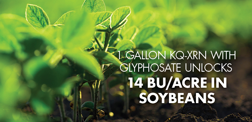 1 GALLON KQ-XRN WITH GLYPHOSATE UNLOCKS 14 BU/ACRE IN SOYBEANS